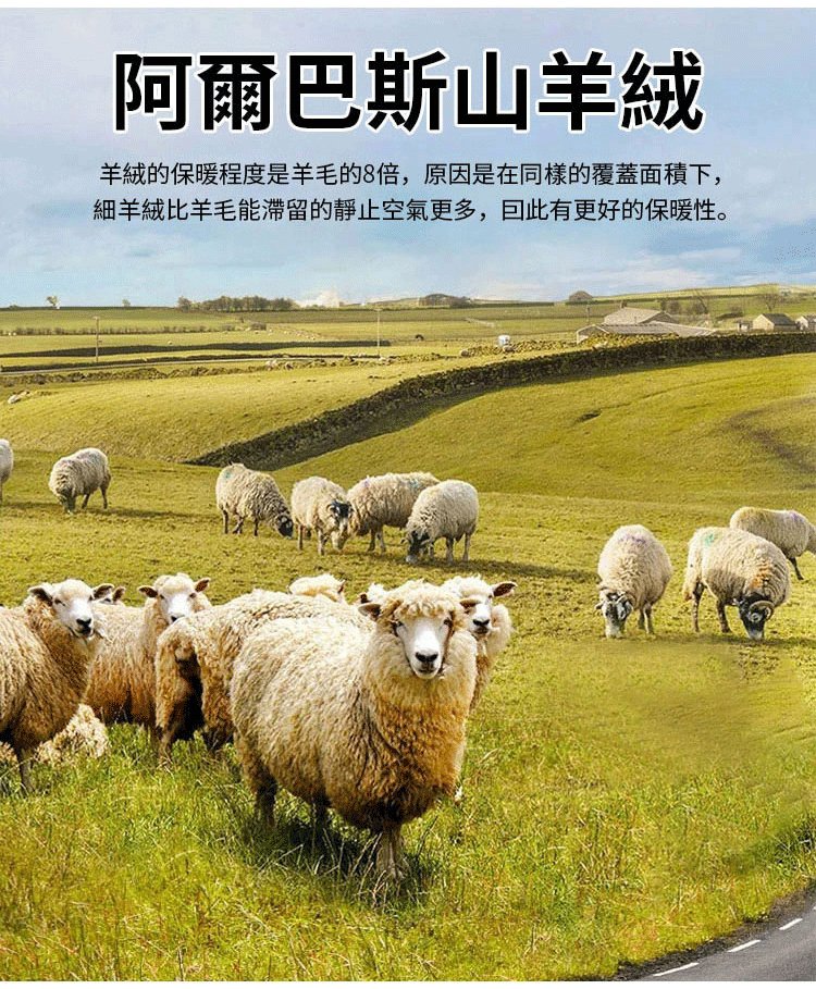 1733438353922796.gif bca492b57509b17e97d446d2afb5cff4.gif